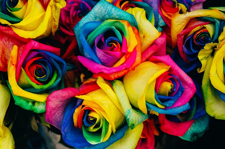 Glennon Doyle's book feels like fresh colorful flowers in a dark day. 