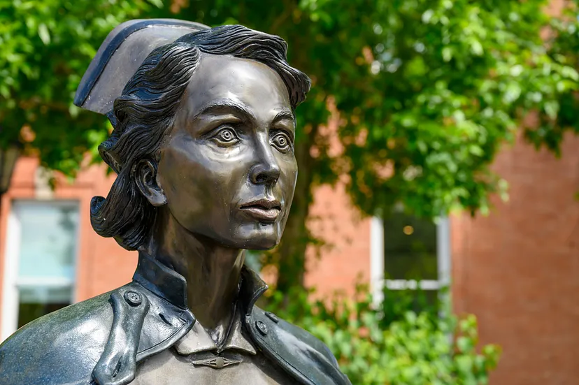 The Women - a book about female nurses treating wounded soldiers in the Vietnam War 