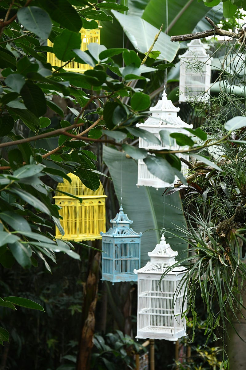 Various cages of different sizes and colors