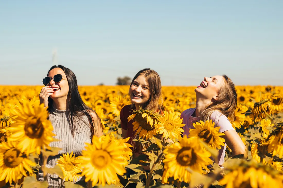 3 girls laughing in the middle of a sunflower field.