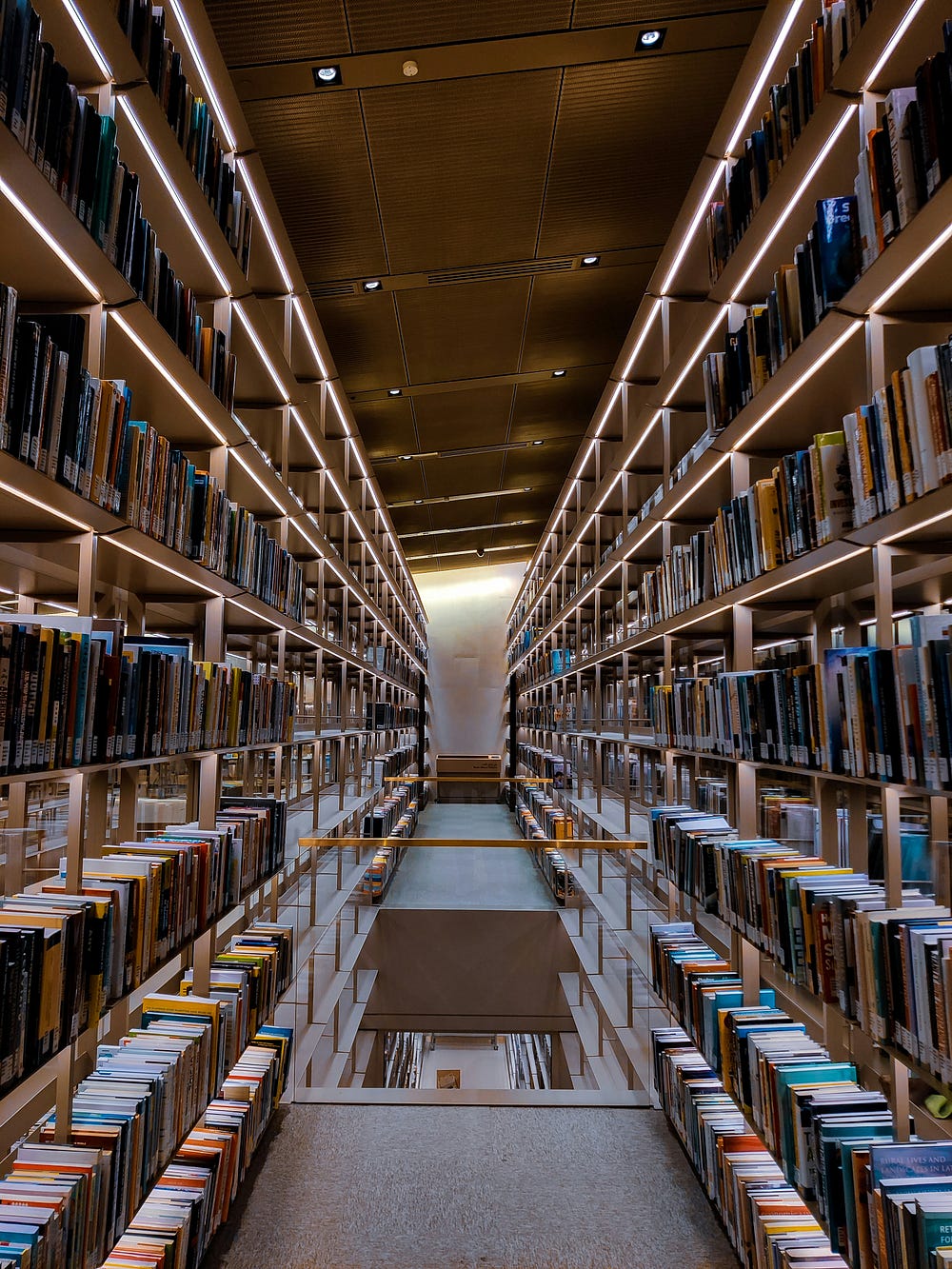 Huge library full of books from ceiling to floor